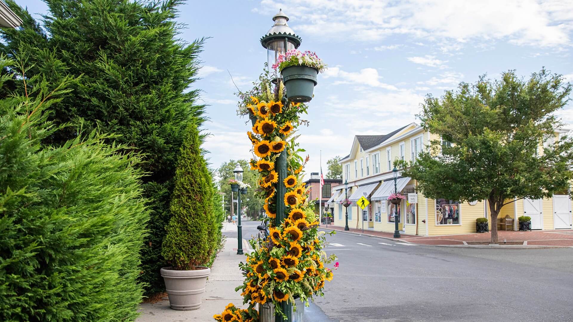 sunflowers up a metal pole
