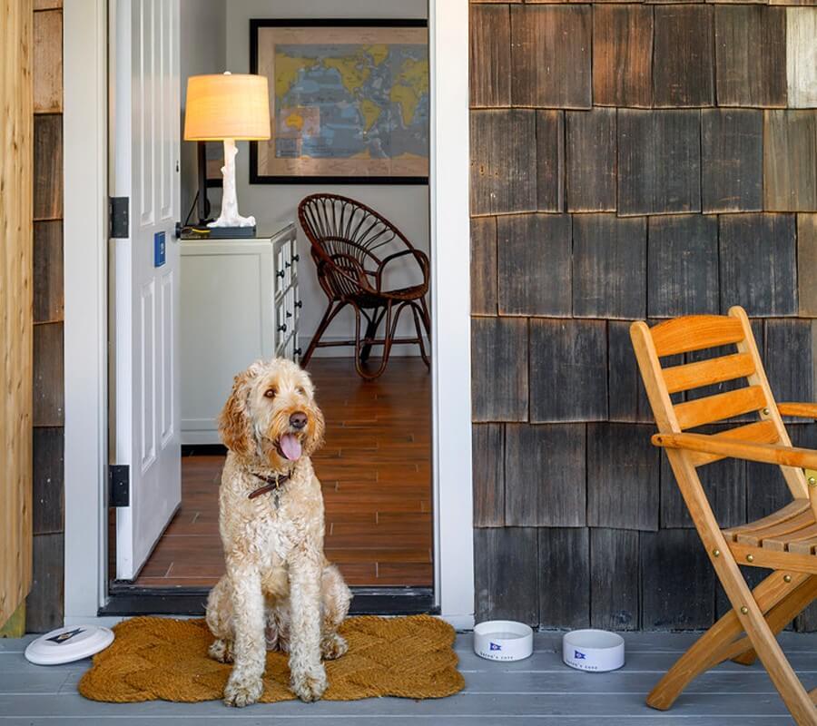 Baron's Cove guest room with dog outside the door